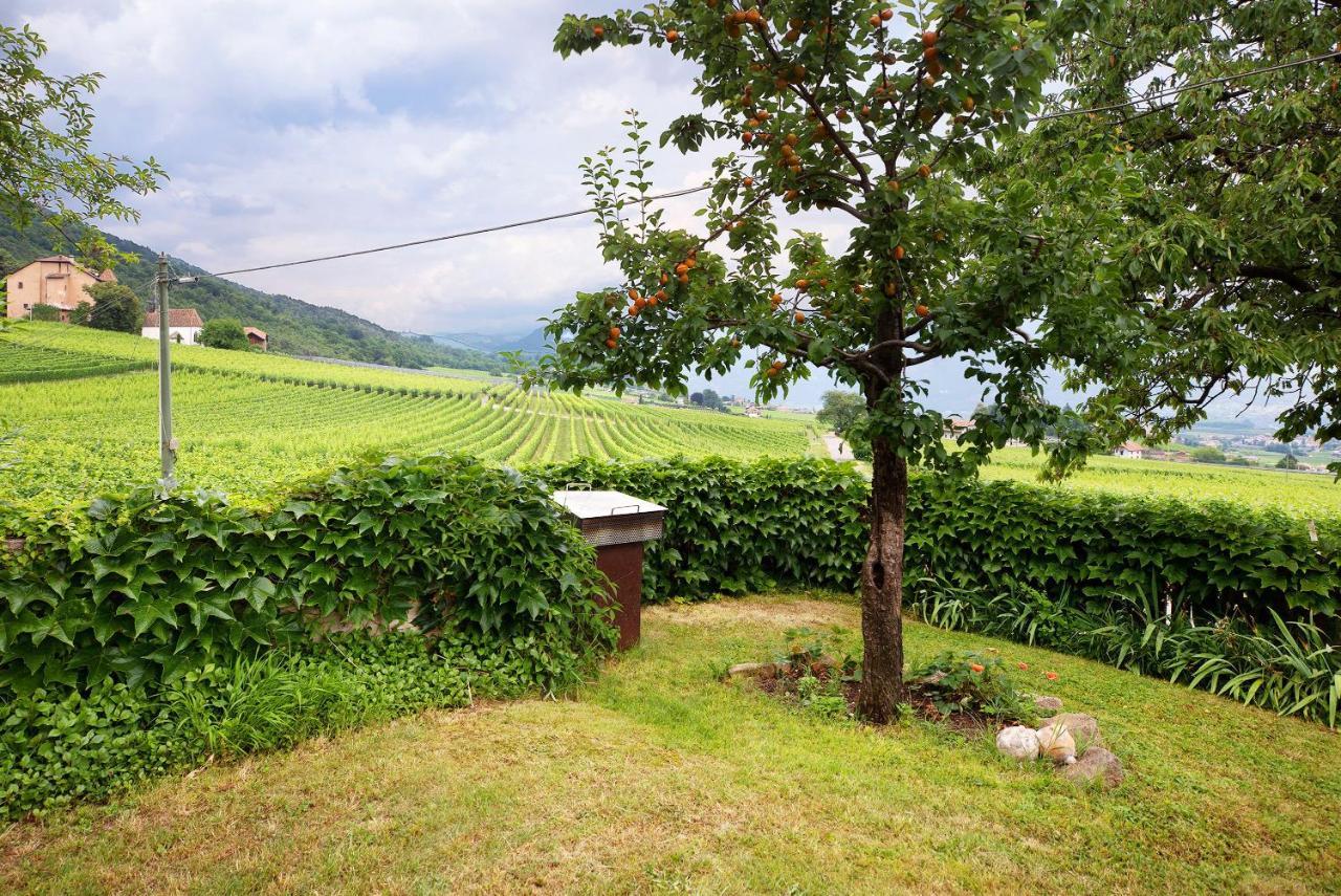 Harmony Apt 2 Appiano Sulla Strada Del Vino Dış mekan fotoğraf